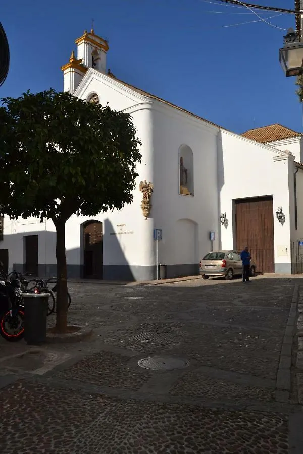 Nuevo Sueno Del Alcazar Apartment Cordoba