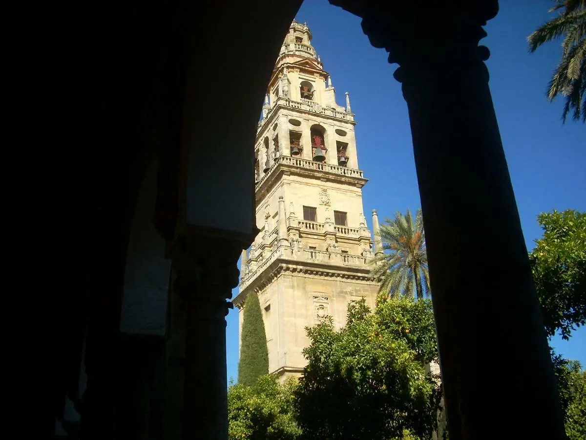 Nuevo Sueno Del Alcazar Apartment Cordoba Spain