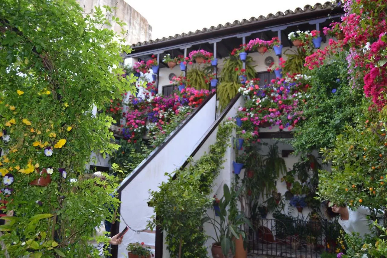 Nuevo Sueno Del Alcazar Apartment Cordoba Spain
